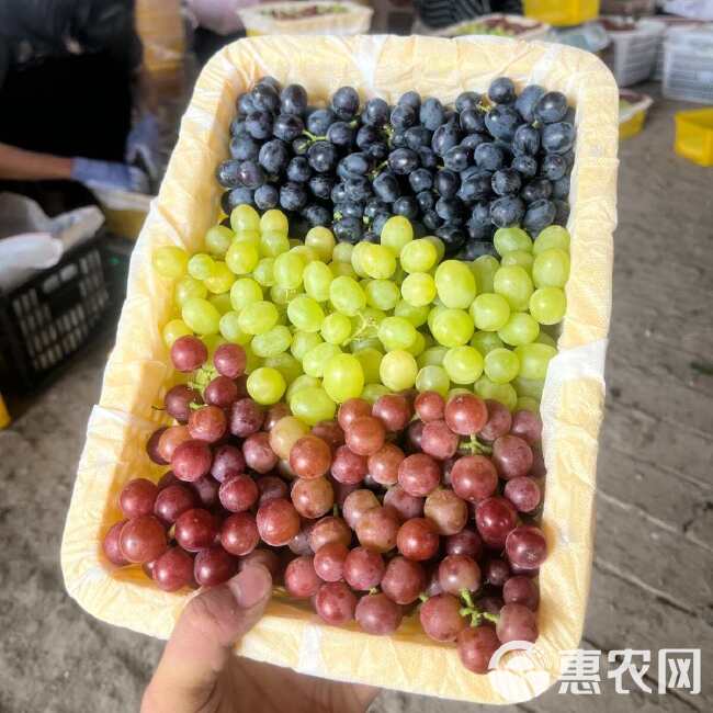 吐鲁番三色葡萄