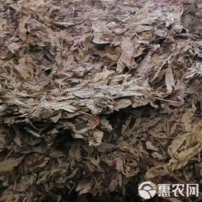 艾叶批发纯正品大叶艾蕲艾干艾草原产地打艾绒做艾柱薰蒸洗护