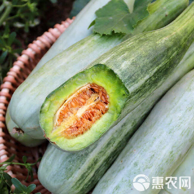 羊角蜜甜瓜61/9号新鲜应季水果香瓜甜瓜脆瓜蜜瓜羊角代发