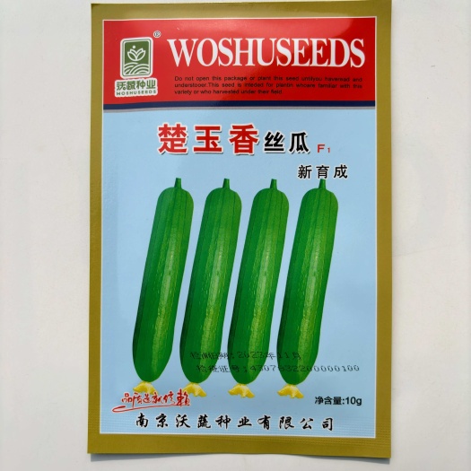沭阳县楚玉香丝瓜种子早熟肉丝瓜香丝瓜爬藤春夏秋冬季四季蔬菜种籽