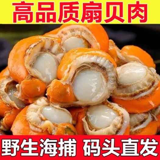 日照新鲜大扇贝肉冷冻元贝肉冻扇贝蒜蓉扇贝贝类冷冻海鲜肉瑶柱生鲜