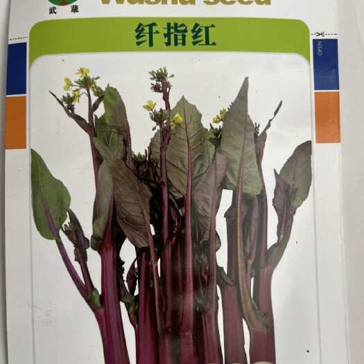 湘乡市早熟紫菜苔种子 叶少味甜产量好 采收期长秋播大棚种植10克