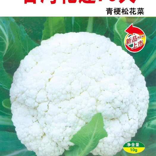 正品70天松花菜种子 抗病强米粒小青梗白面单球重商品性好