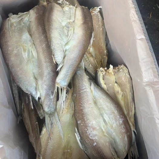 银鳕鱼干 雪鱼 电商地摊展会批发干鱼