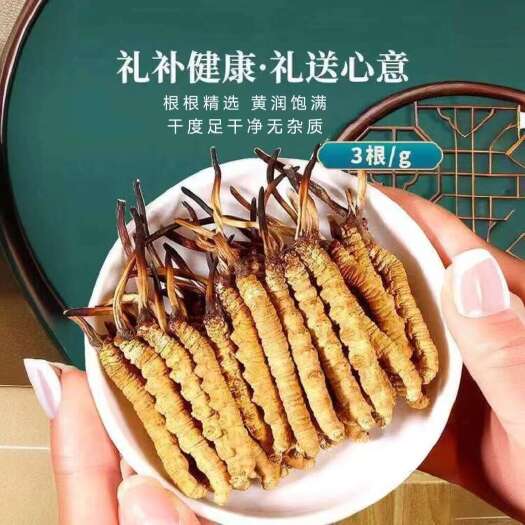 拉萨冬虫夏草干虫草西藏冬虫草那曲虫草源头批发甄选品质根根饱满