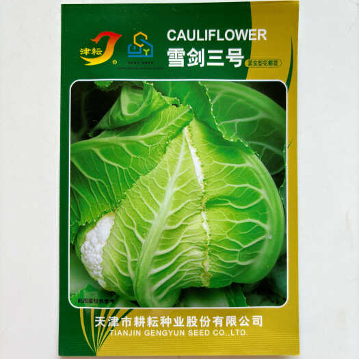沭阳县雪剑三号紧花菜种子秋季基地农家露天花椰菜菜花种籽