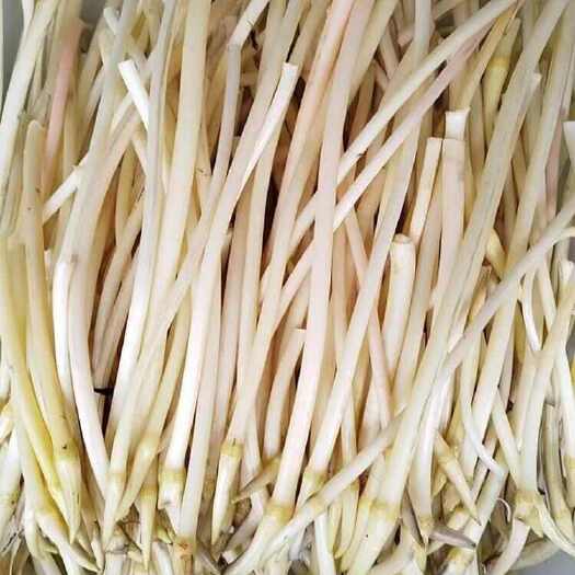  莲带