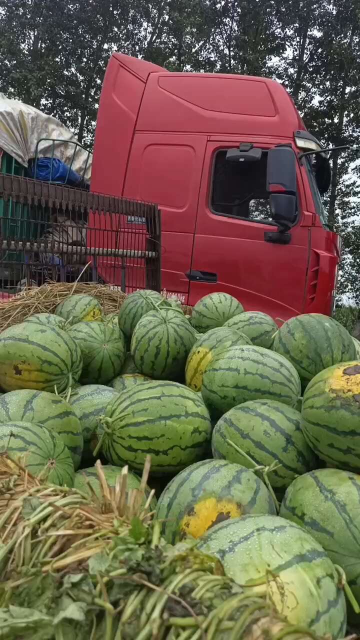 吉林西瓜.地雷瓜上市