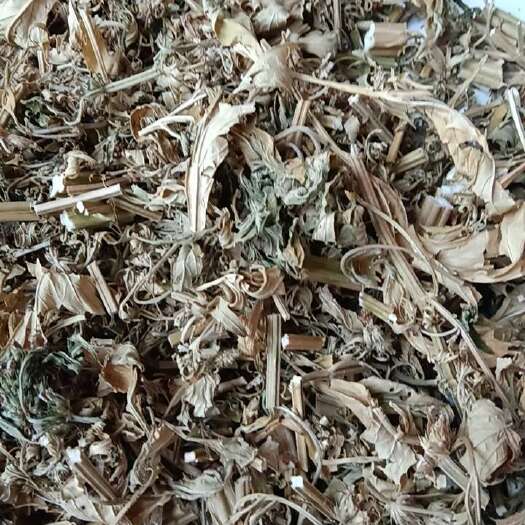 汉中益母草