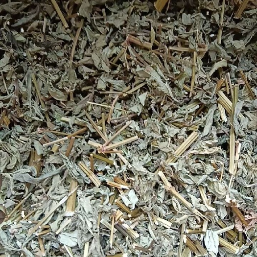 汉中鬼针草