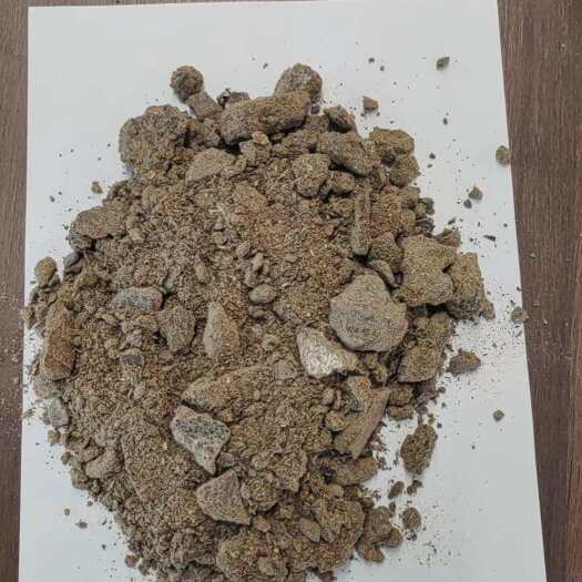 青岛俄罗斯葵饼（蛋白38）现货