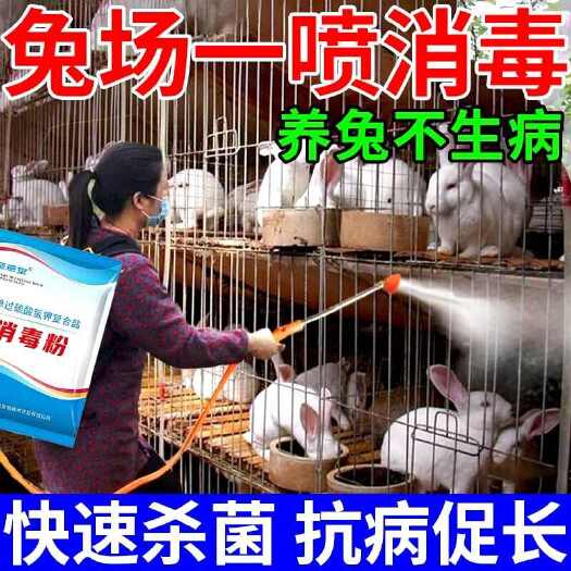 栾川县兔舍专用消毒液养殖场专用兔场兔子杀菌消毒杀真菌兔用防病毒过硫