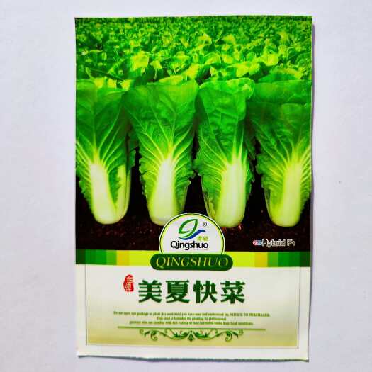 沭阳县美夏快菜种子小白菜籽速生耐热耐湿春夏秋冬季四季青蔬菜种籽