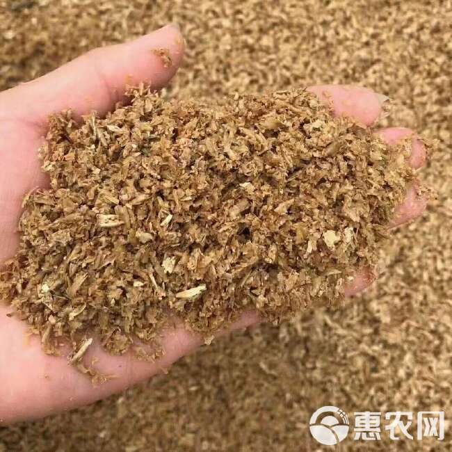 新鲜啤酒糟直发（粗糟细糟都有）含35以上粗蛋白，一毛多一斤装