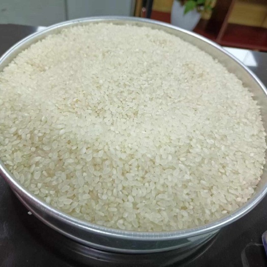 深圳珍珠米
