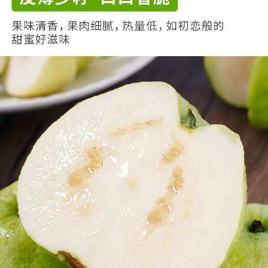 廉江市珍珠番石榴