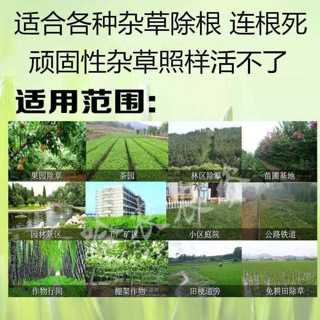 草甘膦除草劑 斬草除根 雜草荒地果園用廣譜專用除草劑