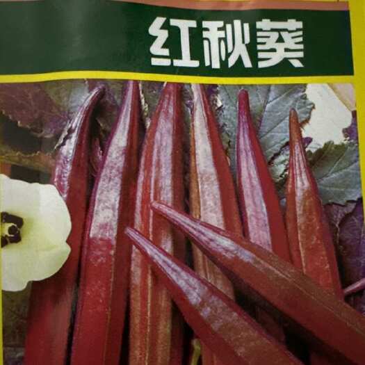 邵东市黄秋葵蔬菜种子红秋葵种籽春秋播种好吃耐热耐旱阳台盆栽大田种孑