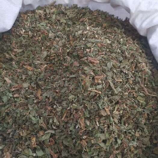 中药材，中草药，干薄荷饮片，薄荷咀子，1公分切段