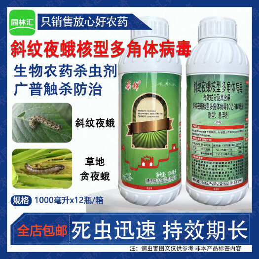 湖南泽丰领锋斜纹夜蛾核型多角体病毒玉米甘蓝草地贪夜蛾杀虫剂