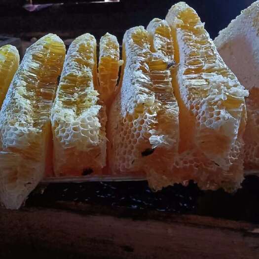 张家川县土蜂蜜，今年刚铲，一年只铲一次，假一赔百