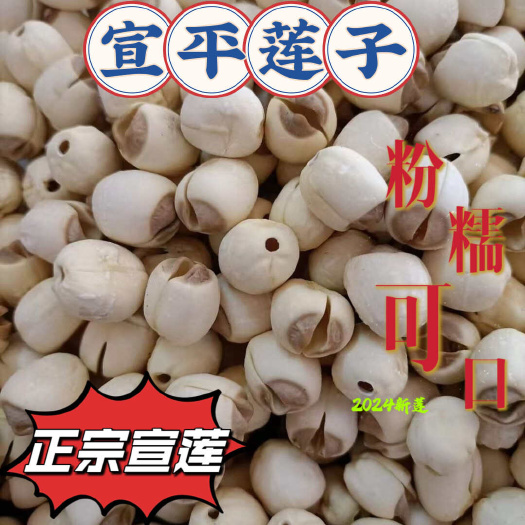 武义县宣平莲子白莲子干货500g软糯免泡去芯一级武义莲子宣莲无芯