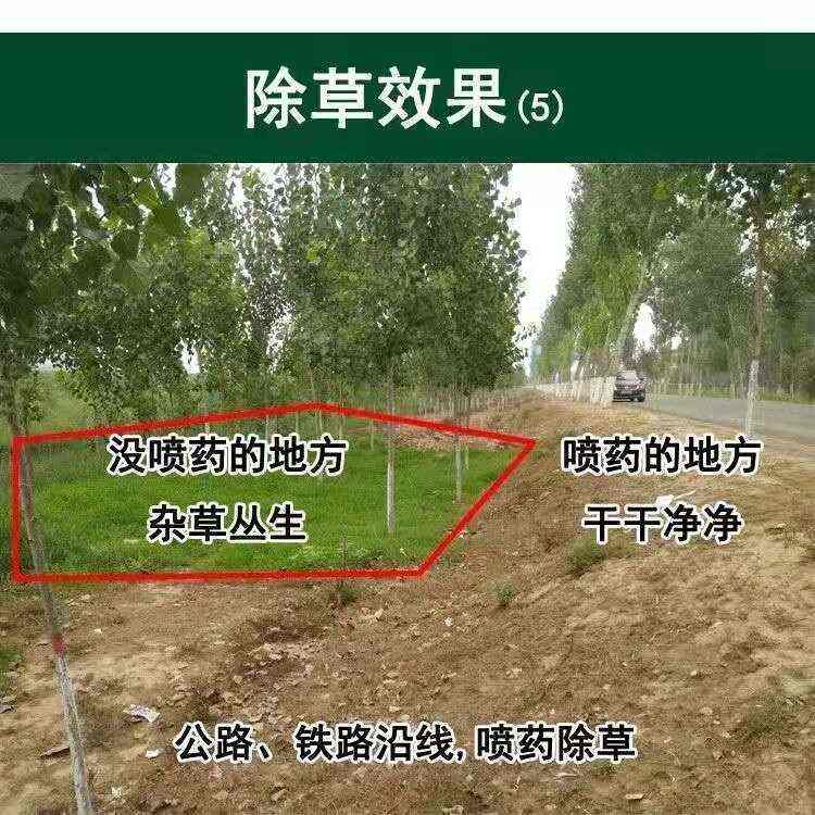 草甘膦除草劑 斬草除根 雜草荒地果園用廣譜專用除草劑