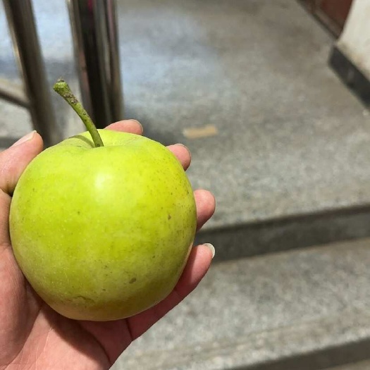 新沂市翠冠梨