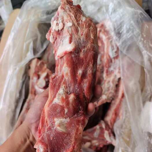 临沂羔羊满肉羊蝎子