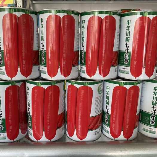正定县中华川崎七寸红参皮肉心三红小顶芯细农场种植户专用胡萝卜种子