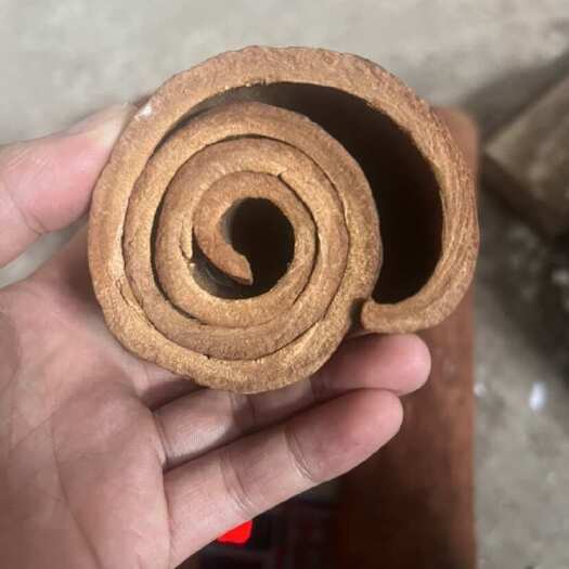 平南县桂皮