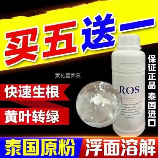 柳州泰国ROS黄化枯梢红鼻子果农用四环素红黑正品