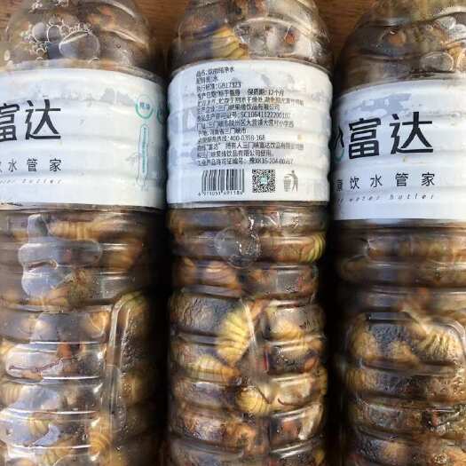 灵宝市金蝉