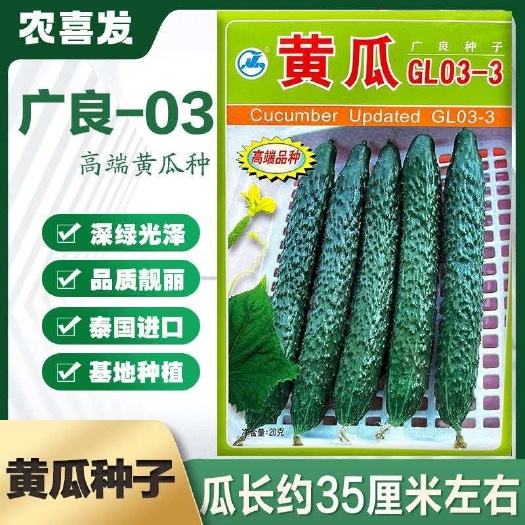 广良泰国耐热黄瓜种子绿瓤长黄瓜种籽春夏秋季耐热密刺深绿