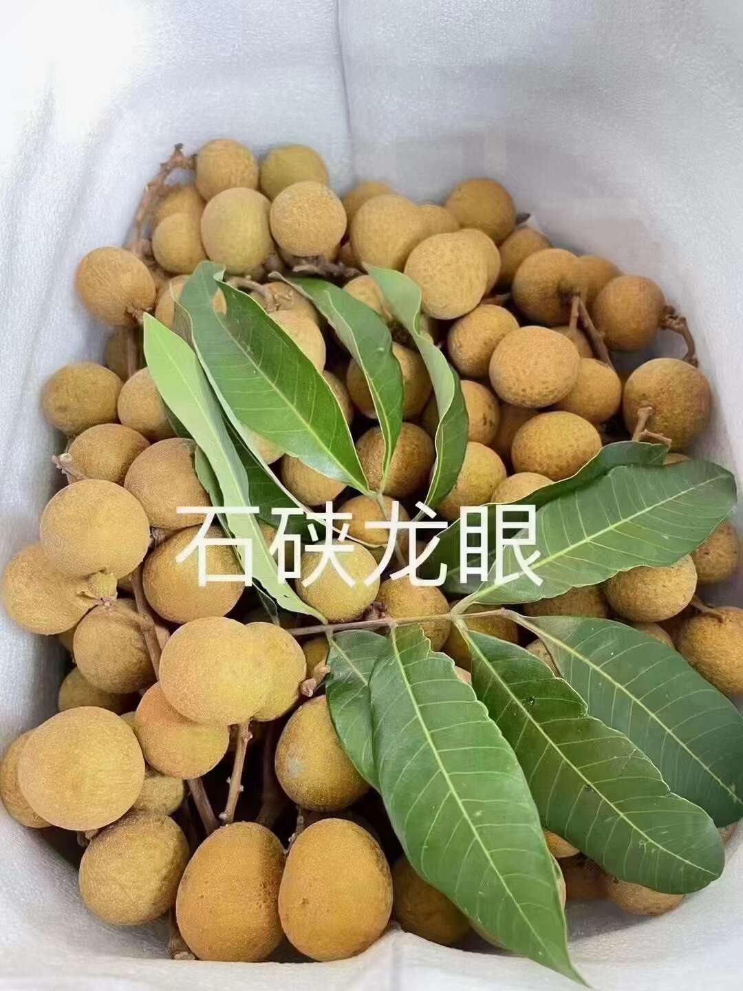 龙眼盛宴，甜蜜每一刻 —— 品味石硖龙眼的非凡之旅