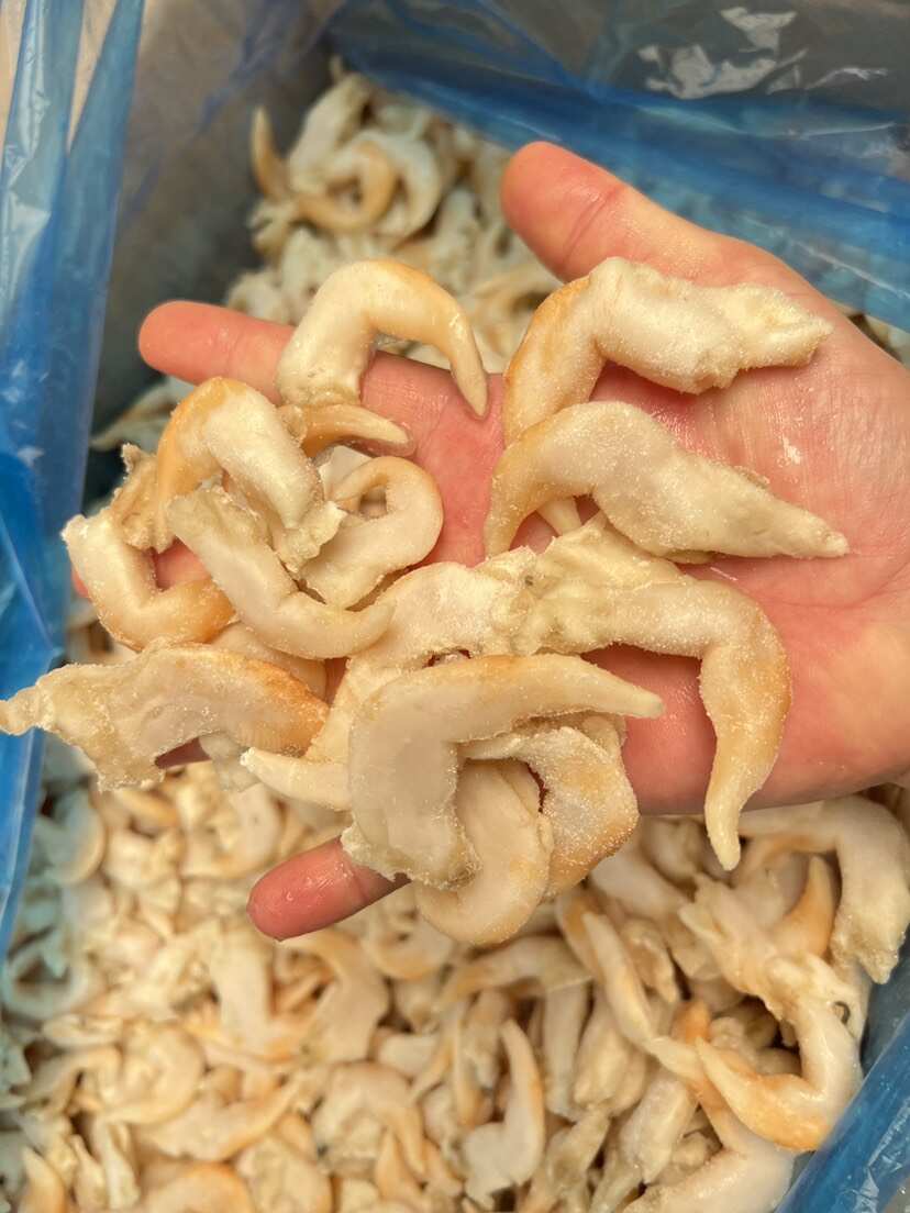 冻鸟贝肉