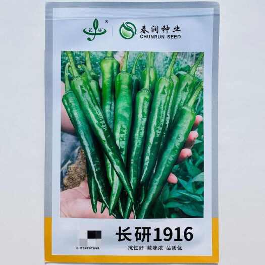 沭阳县春润种业长研1916辣椒种子辣味浓香抗性好早熟羊角椒种子嫩椒