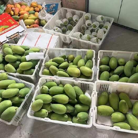 会理市芒果