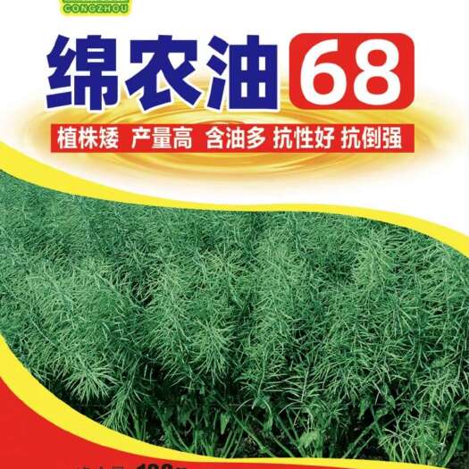 剑阁县油菜籽种子 高芥油菜种