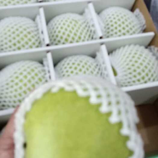 云和县￼翠冠梨