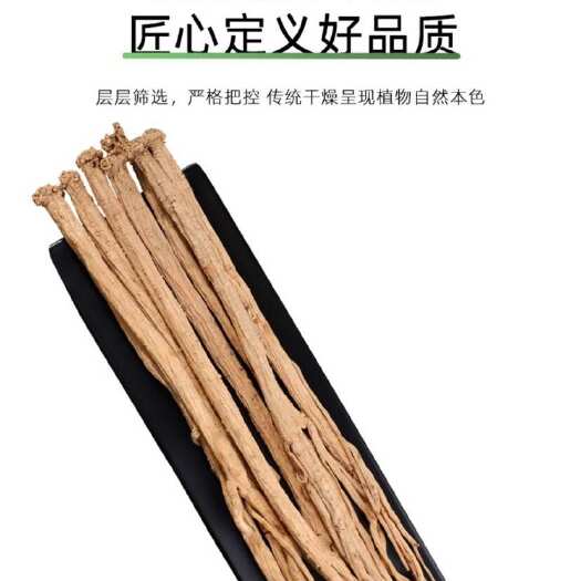 岷县党参