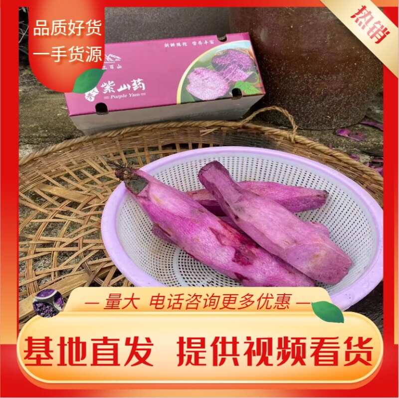 紫山药紫淮山毛薯脚板薯批发供应，现挖现发