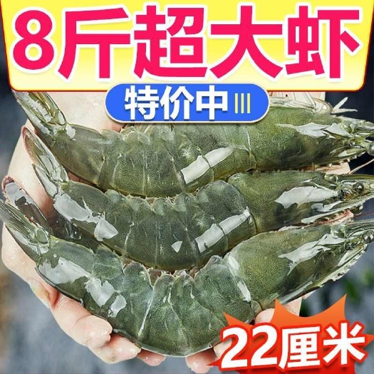 【活动价】新鲜青岛大虾现货冷冻海虾基围虾白虾冻虾青虾海鲜水产