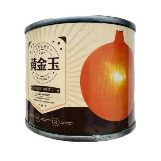 黄金玉洋葱种子黄皮洋葱种子爽脆多汁辛辣味淡有甜味水果洋葱种籽