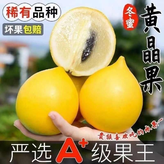 黄晶果新鲜现摘冬蜜黄晶果香甜多汁黄金牛奶果水果当季大果