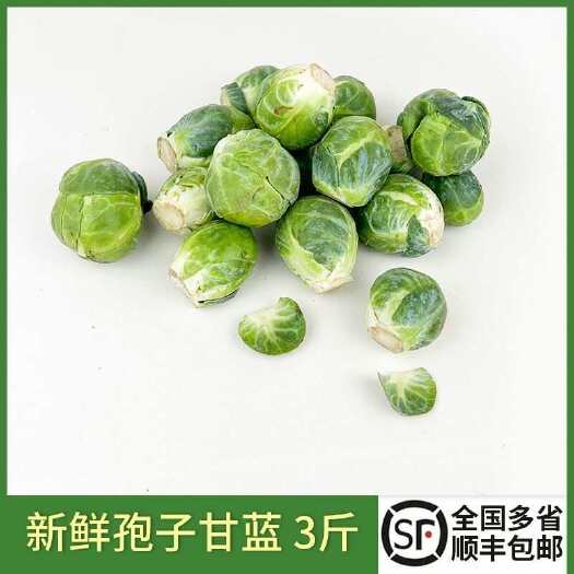 新鲜孢子甘蓝  抱子甘兰迷你小包菜小卷心菜 西餐沙拉食材蔬菜