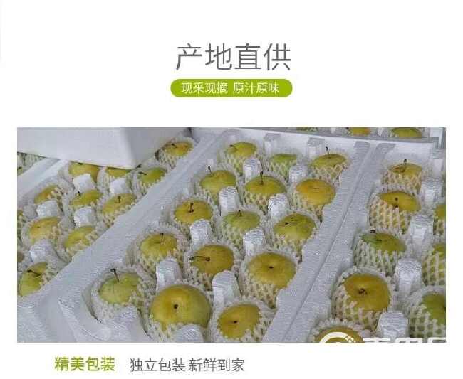 彩箱精品 四川桃花李冰糖李新鲜水果超甜超好吃当季水果3-5斤