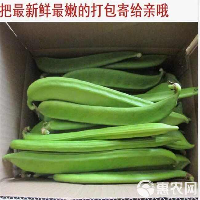 现摘刀豆新鲜广西农家精选当季优质嫩青刀豆时令蔬菜嫩无筋刀芭豆