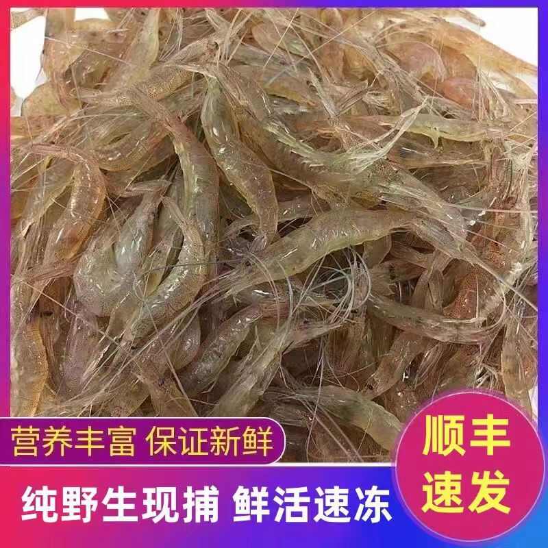 顺丰包邮小河虾鲜活冷冻新鲜批发冷冻整箱批发醉虾小海虾青虾湖虾