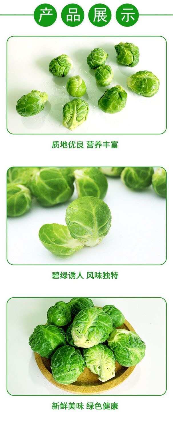 新鲜孢子甘蓝  抱子甘兰迷你小包菜小卷心菜 西餐沙拉食材蔬菜